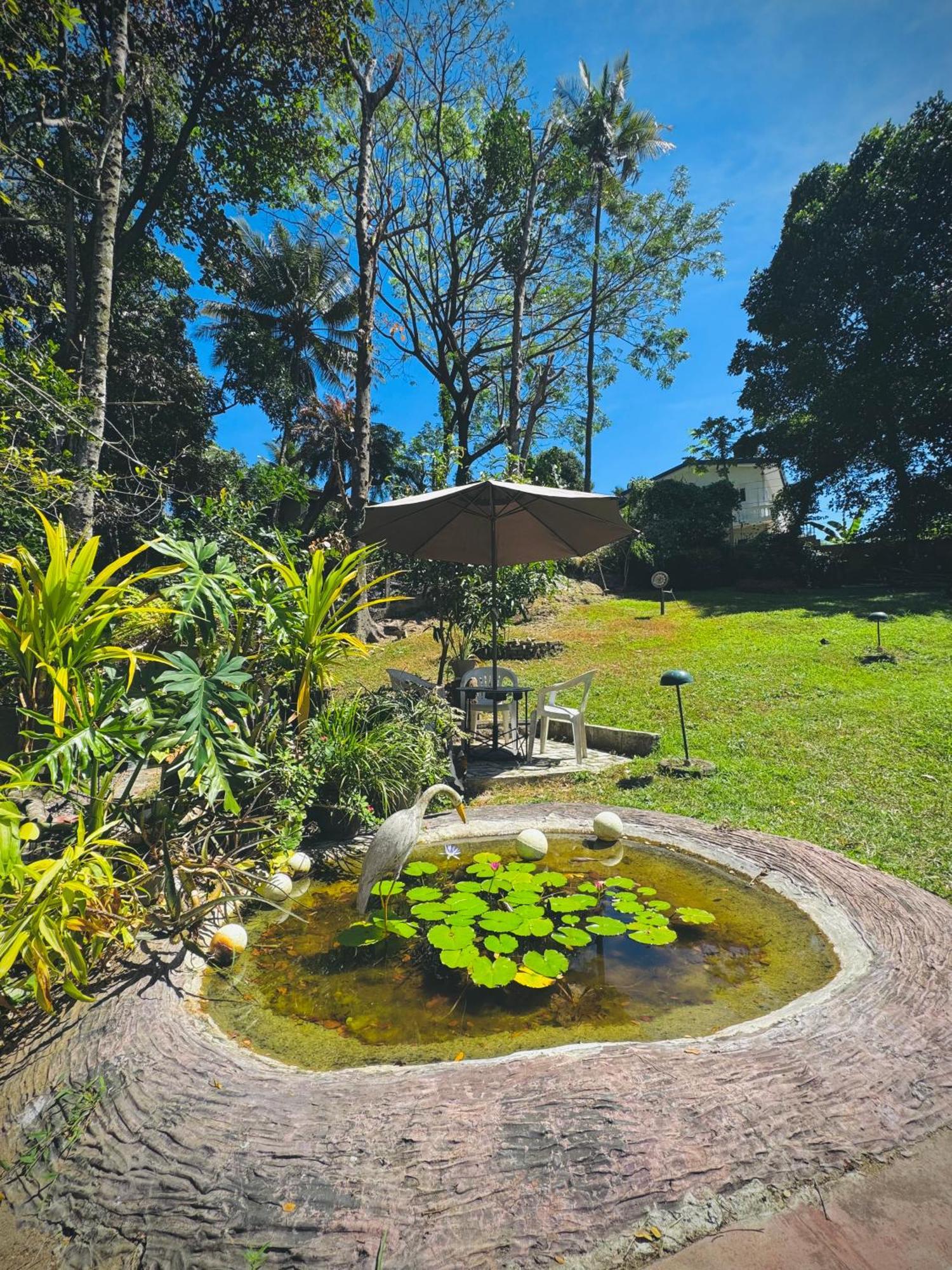 Mahaweli View Bungalow 캔디 외부 사진