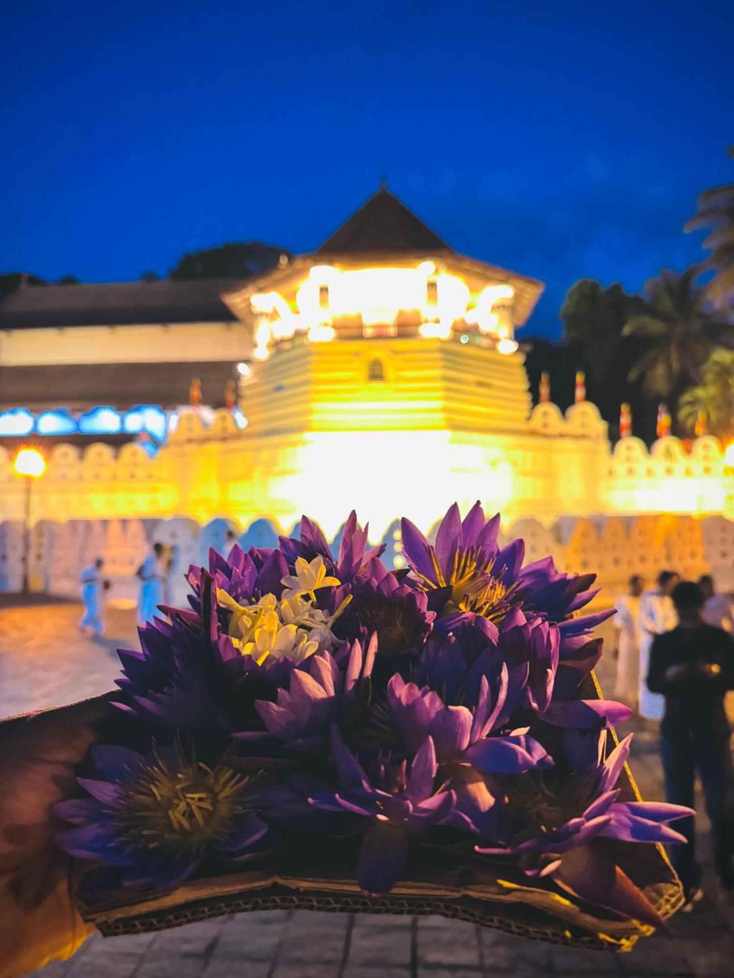 Mahaweli View Bungalow 캔디 외부 사진